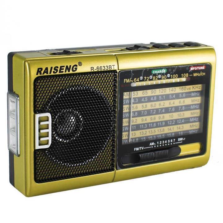 رادیو RAISENG R-6633UT 